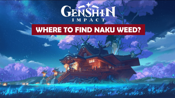 Genshin impact Where To Find Naku Weed, All Locations