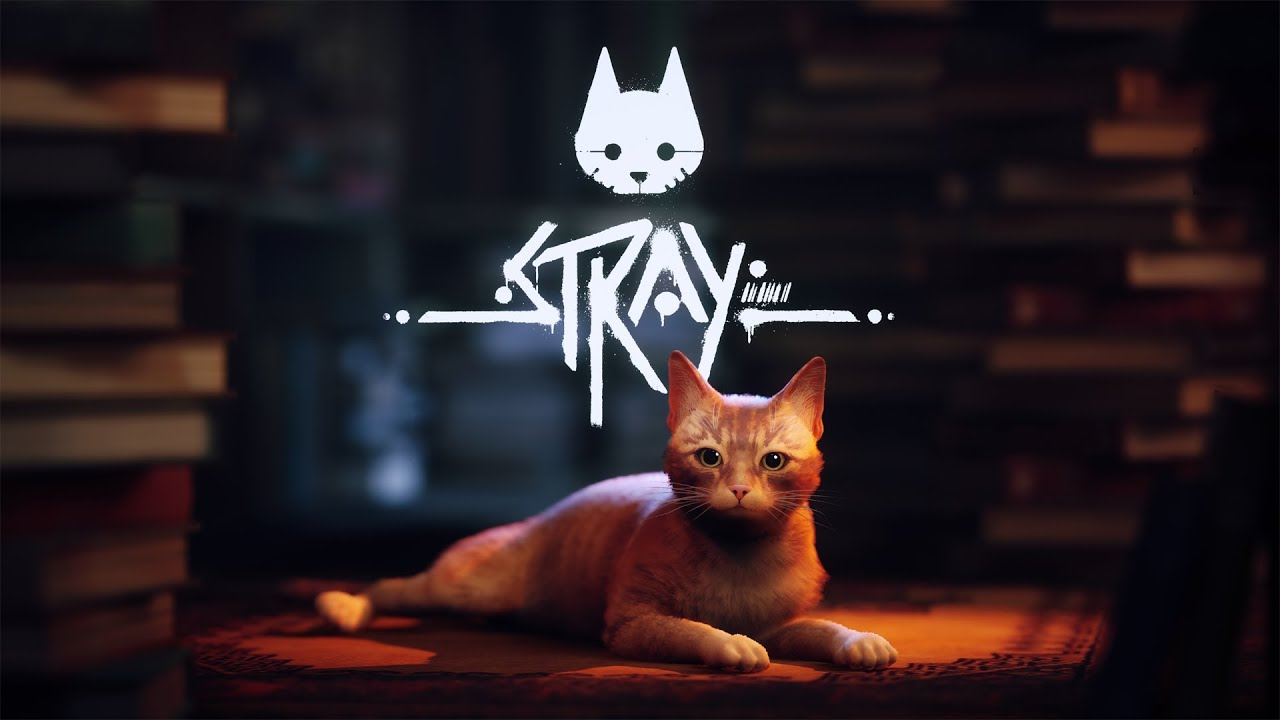 Stray - Cover