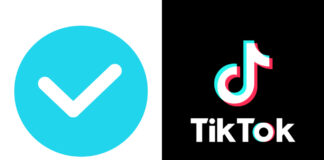 TikTok Verified Steps