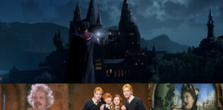 Hogwarts Legacy Are there any returning familiar characters - Cover Picture