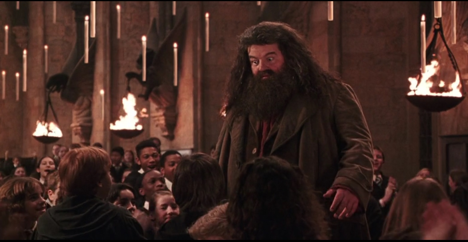 Unforgettable Moments of Rubeus Hagrid