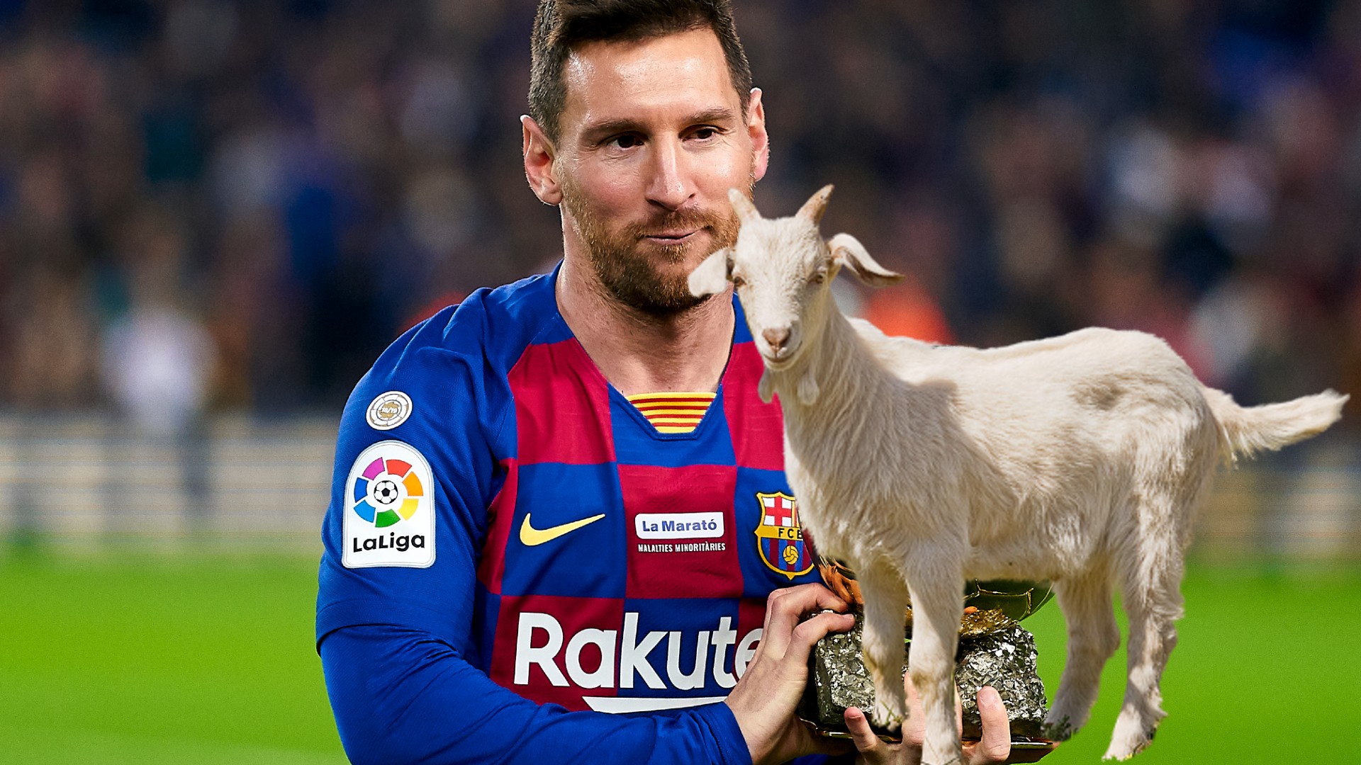 LAMRON Messi Goat The Boss Wall Decoration Art Framed Poster 12 Inch x 18  Inch Glass with 05 Inch Black Wooden Frame  Amazonin