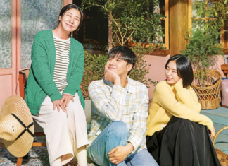 Netflix The Good Bad Mother, Ra Mi Ran, Lee Do Hyun, Review