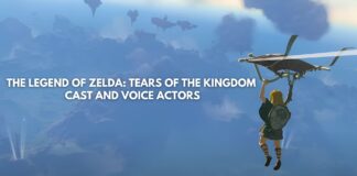 Exploring The Legend of Zelda Tears of the Kingdom Cast and Voice Actors