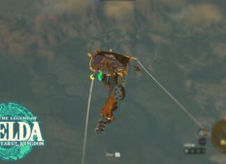 The Legend of Zelda: Tears of the Kingdom - Paraglider Skins | How to get