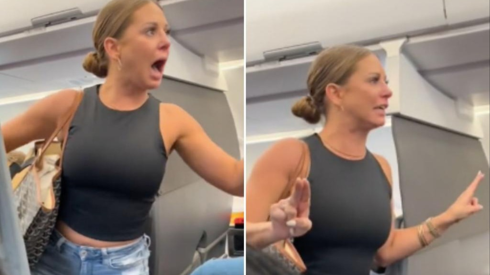 American Airlines Passenger in Viral Video goes missing Is it true?