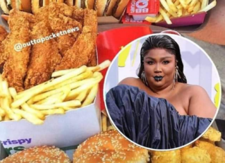 Lizzo's McDonald's meal rumor goes viral